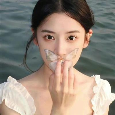 完美求婚